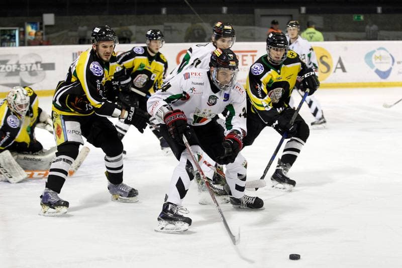 Ice Hockey. Polska Hokej Liga. GKS Tychy - JKH GKS Jastrzebie. 17.02.2017
