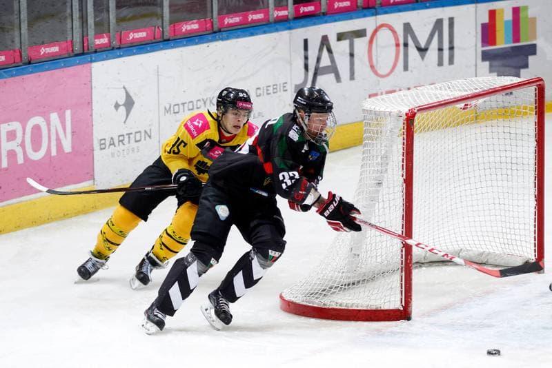 Ice Hockey. Tauron Hokej Liga. Tauron KH GKS Katowice - GKS Tychy. 14.01.2018