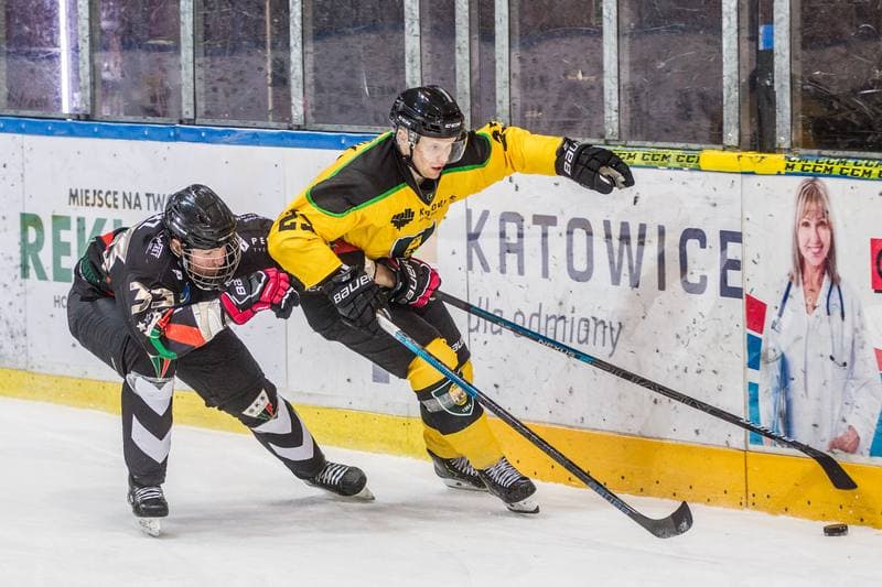 Ice Hockey. Polska Hokej Liga. GKS Katowice - GKS Tychy. 28.01.2020
