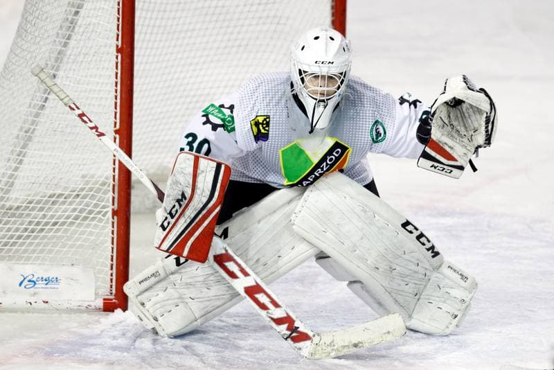 Ice Hockey. PLHK. Naprzod Janow - Unia Oswiecim. 20.01.2018