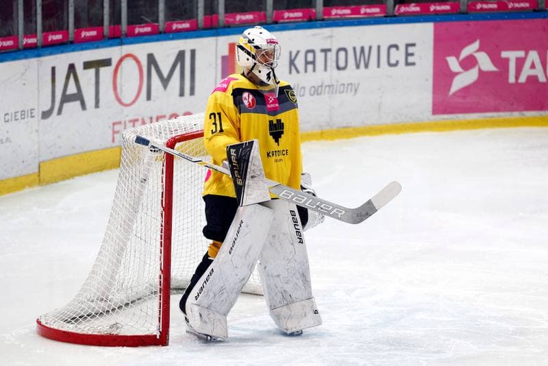 Ice Hockey. Tauron Hokej Liga. Tauron KH GKS Katowice - Anteo Naprzod Janow. 02.02.2018