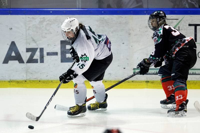 Ice Hockey. PLHK. Naprzod Janow - Atomowki Tychy. 03.02.2018