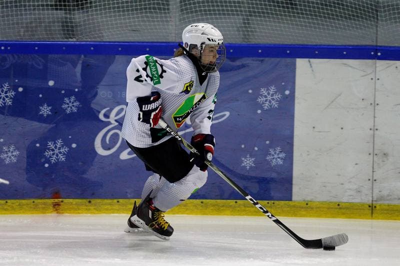 Ice Hockey. PLHK. Naprzod Janow - Atomowki Tychy. 03.02.2018