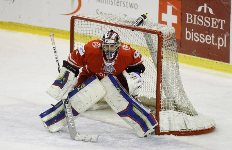 Ice Hockey. Euro Ice Hockey Challenge. Poland - Austria. 07.11.2015