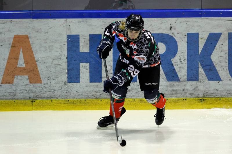 Ice Hockey. PLHK. Naprzod Janow - Atomowki Tychy. 03.02.2018