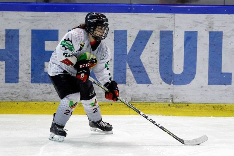 Ice Hockey. PLHK. Naprzod Janow - Atomowki Tychy. 03.02.2018
