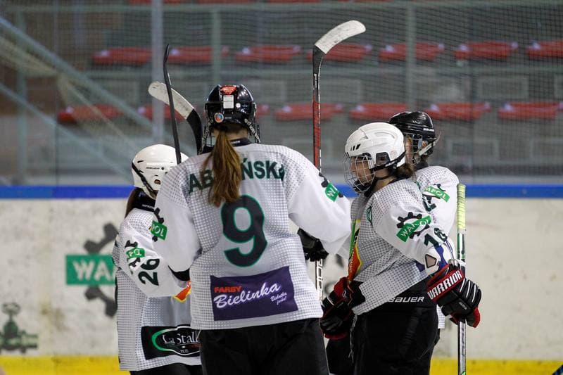 Ice Hockey. PLHK. Naprzod Janow - Kozice Poznan. 11.02.2018