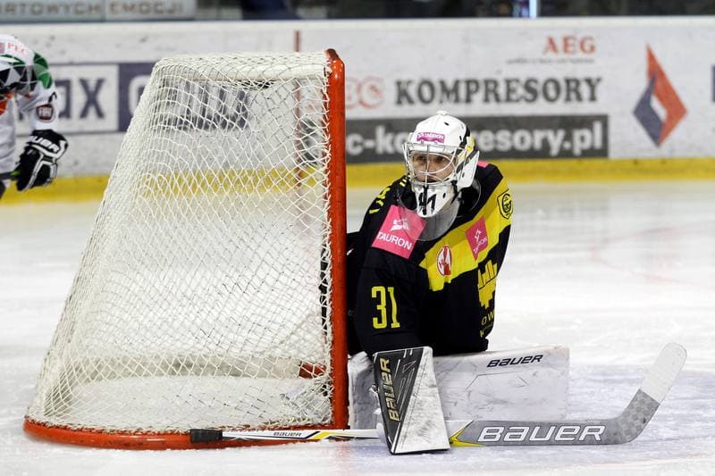 Ice Hockey. Polska Hokej Liga. GKS Tychy - Tauron KH GKS Katowice. 11.02.2018