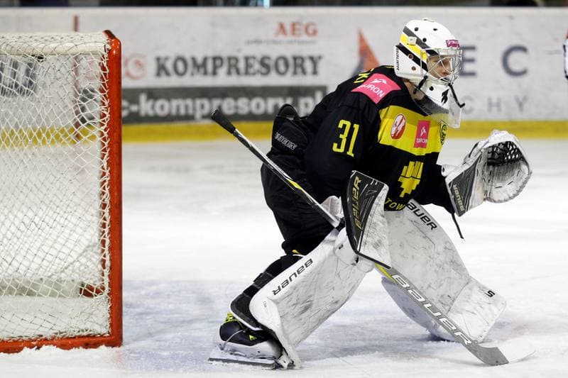Ice Hockey. Polska Hokej Liga. GKS Tychy - Tauron KH GKS Katowice. 11.02.2018
