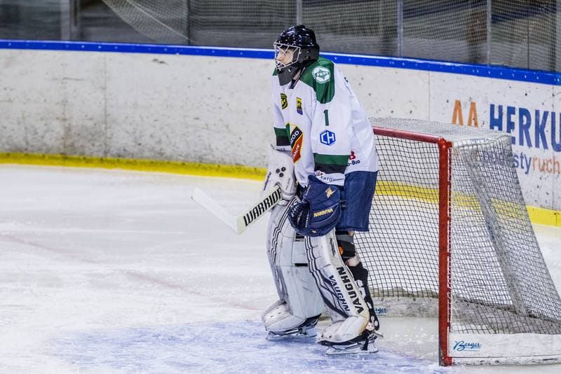 Ice Hockey. PHL. Naprzod Janow - GKS Tychy. 17.11.2019