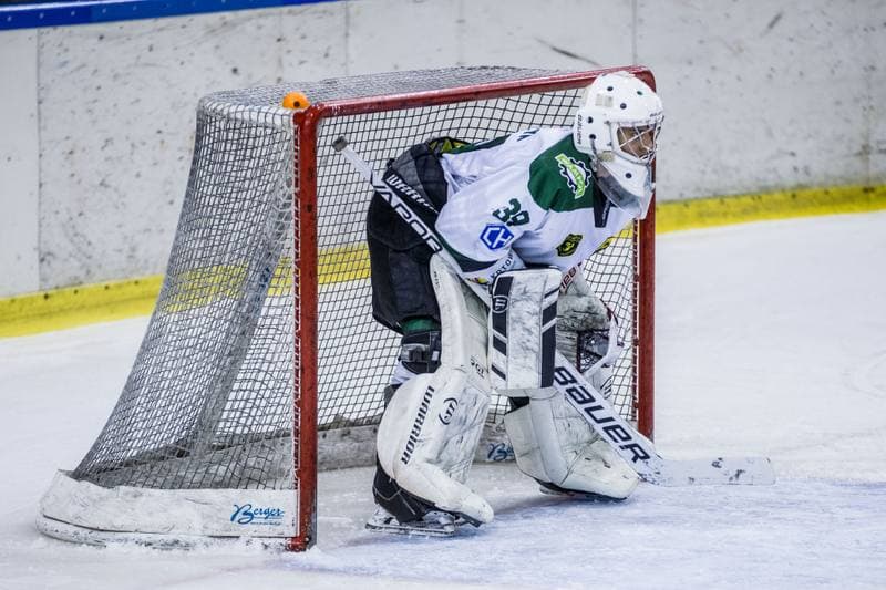 Ice Hockey. PHL. Naprzod Janow - GKS Tychy. 15.12.2019
