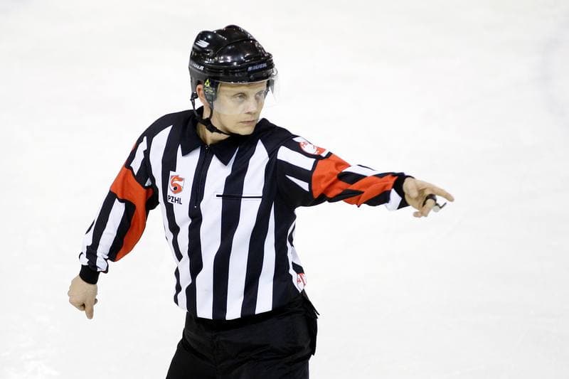 Ice Hockey. Polska Hokej Liga. Anteo Naprzod Janow - PGE Orlik Opole. 20.02.2018