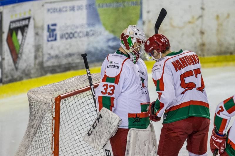 Ice Hockey. PHL. Zaglebie Sosnowiec - Naprzod Janow. 14.01.2020