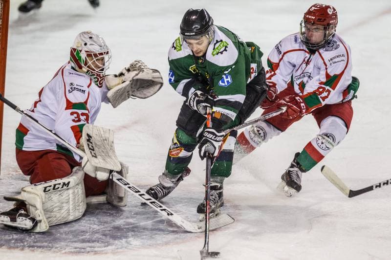 Ice Hockey. PHL. Zaglebie Sosnowiec - Naprzod Janow. 14.01.2020