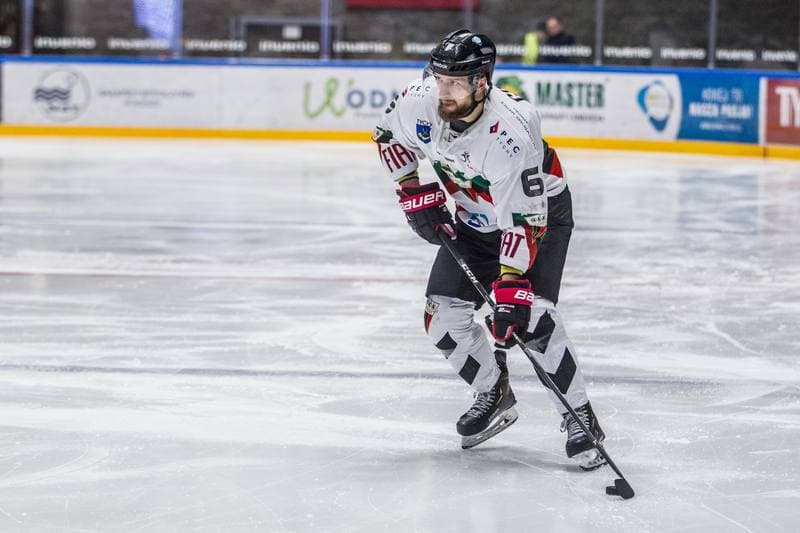 Ice Hockey. PHL. GKS Tychy - Naprzod Janow. 19.01.2020