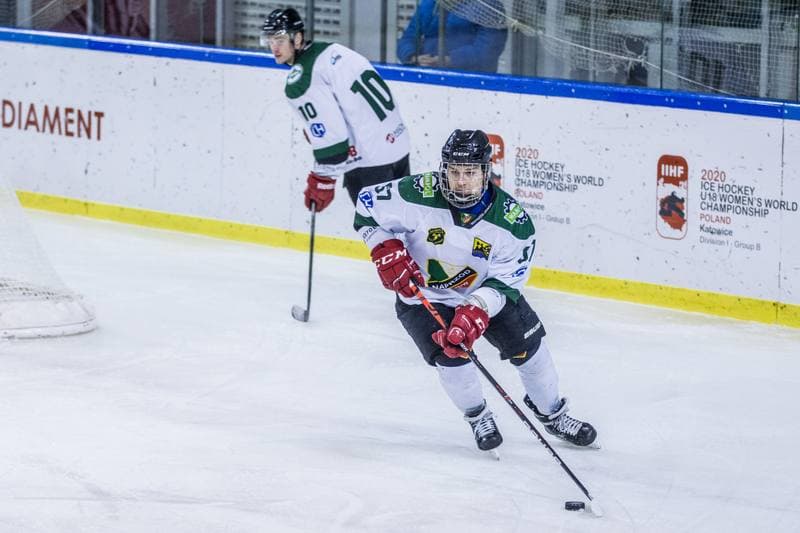 Ice Hockey. PHL. Naprzod Janow - Lotos PKH Gdansk. 20.01.2020