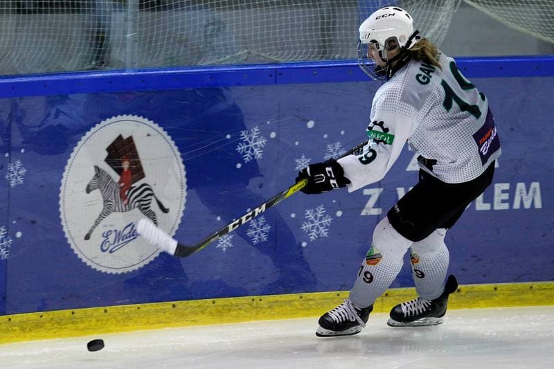 Ice Hockey. PLHK. Naprzod Janow - Atomowki Tychy. 03.02.2018