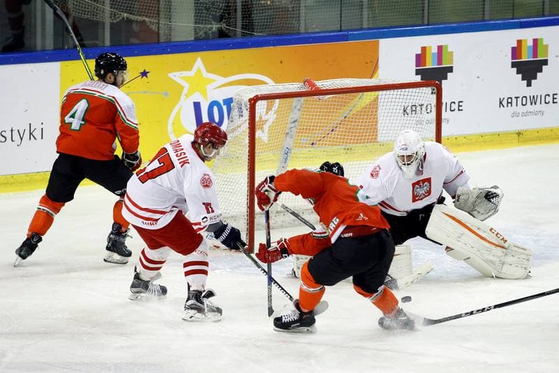 Ice Hockey. Euro Ice Hockey Challenge. Poland - Hungary. 18.02.2018