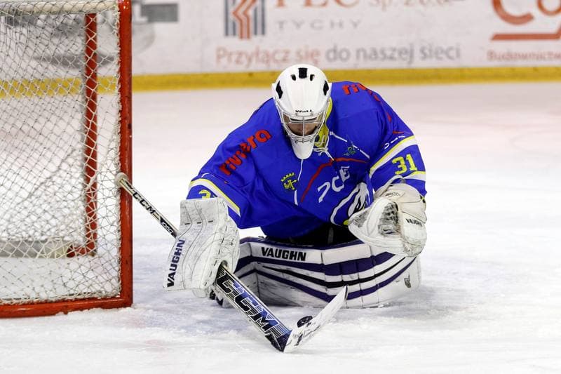 Ice Hockey. Polska Hokej Liga. GKS Tychy - Orlik Opole. 13.01.2017