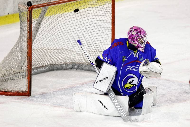 Ice Hockey. Polska Hokej Liga. Zaglebie Sosnowiec - PGE Orlik Opole. 04.12.2018