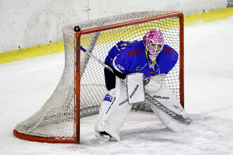 Ice Hockey. Polska Hokej Liga. Zaglebie Sosnowiec - PGE Orlik Opole. 04.12.2018