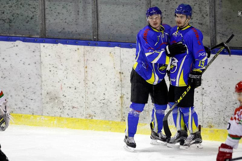 Ice Hockey. Polska Hokej Liga. Zaglebie Sosnowiec - PGE Orlik Opole. 04.12.2018