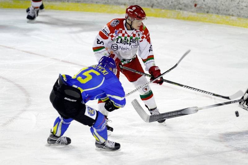 Ice Hockey. Polska Hokej Liga. Zaglebie Sosnowiec - Orlik Opole. 17.02.2019