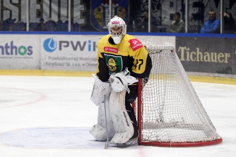 Ice Hockey. Tauron Hokej Liga. Unia Oswiecim - Tauron KH GKS Katowice. 18.02.2019