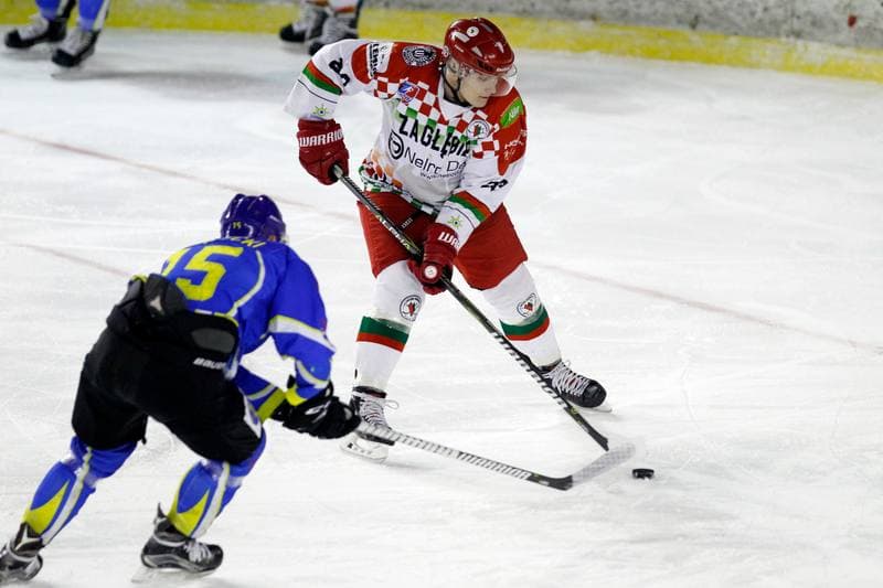 Ice Hockey. Polska Hokej Liga. Zaglebie Sosnowiec - Orlik Opole. 17.02.2019