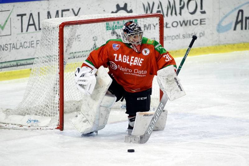 Ice Hockey. Polska Hokej Liga. Naprzod Janow - Zaglebie Sosnowiec. 23.02.2019