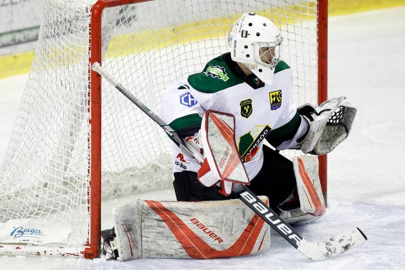 Ice Hockey. Polska Hokej Liga. Naprzod Janow - Zaglebie Sosnowiec. 23.02.2019