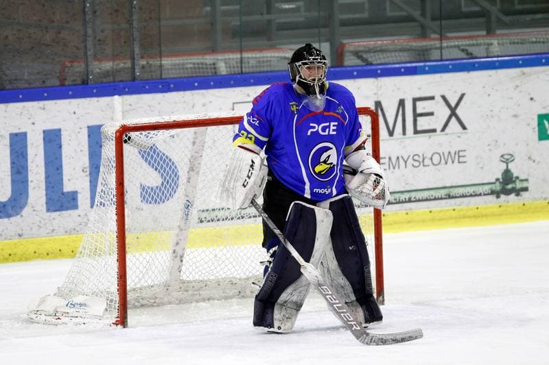 Ice Hockey. Polska Hokej Liga. Naprzod Janow - Orlik Opole. 01.03.2019