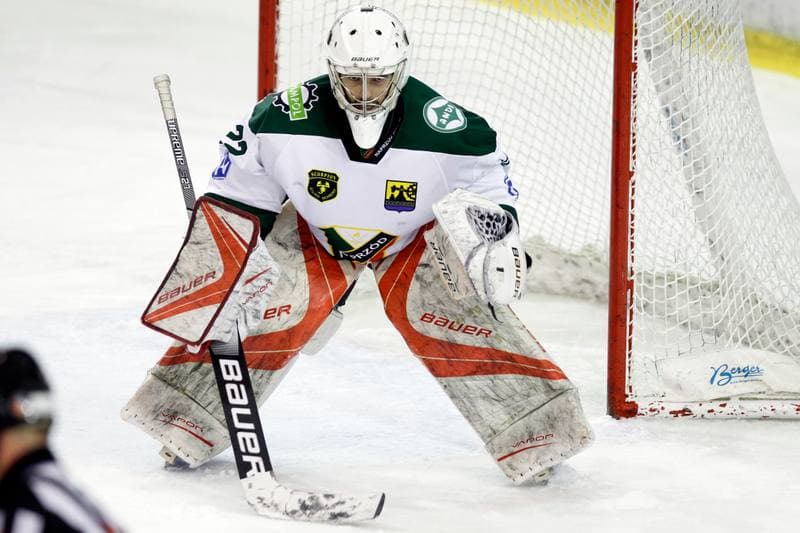 Ice Hockey. Polska Hokej Liga. Naprzod Janow - Orlik Opole. 01.03.2019