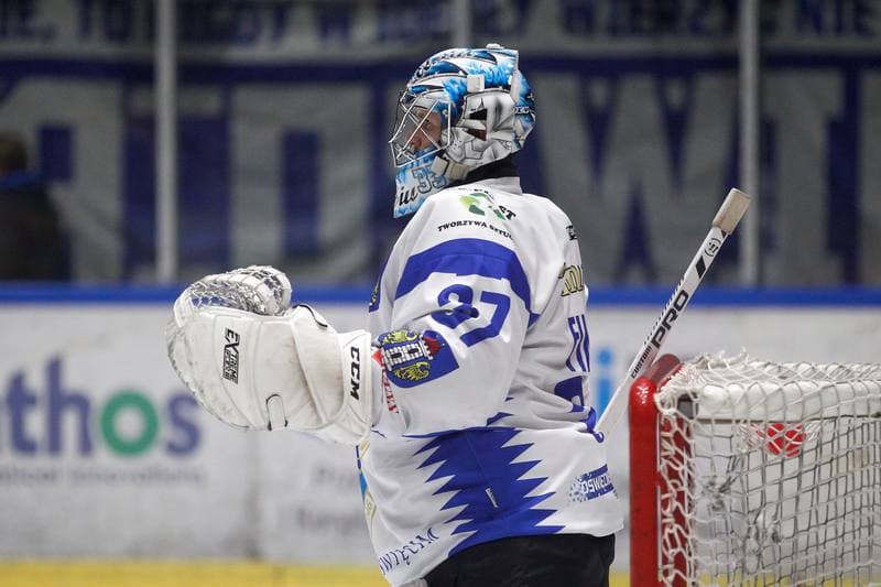 Ice Hockey. Polska Hokej Liga. Unia Oswiecim - Tauron KH GKS Katowice. 02.03.2019