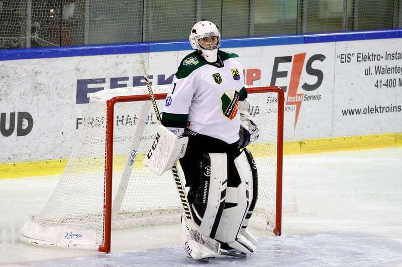 Ice Hockey. Polska Hokej Liga. Anteo Naprzod Janow - JKH GKS Jastrzebie. 03.12.2017