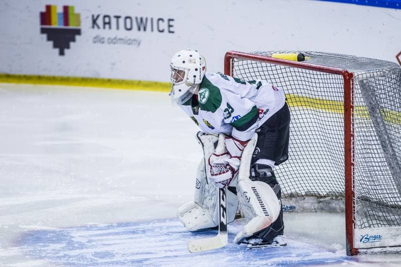 Ice Hockey. PHL. Naprzod Janow - Podhale Nowy Targ. 12.01.2020