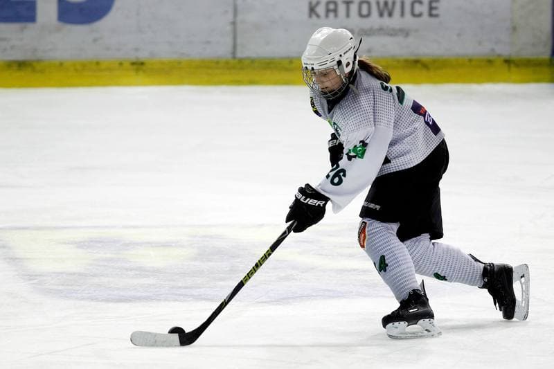 Ice Hockey. PLHK. Naprzod Janow - Unia Oswiecim. 20.01.2018