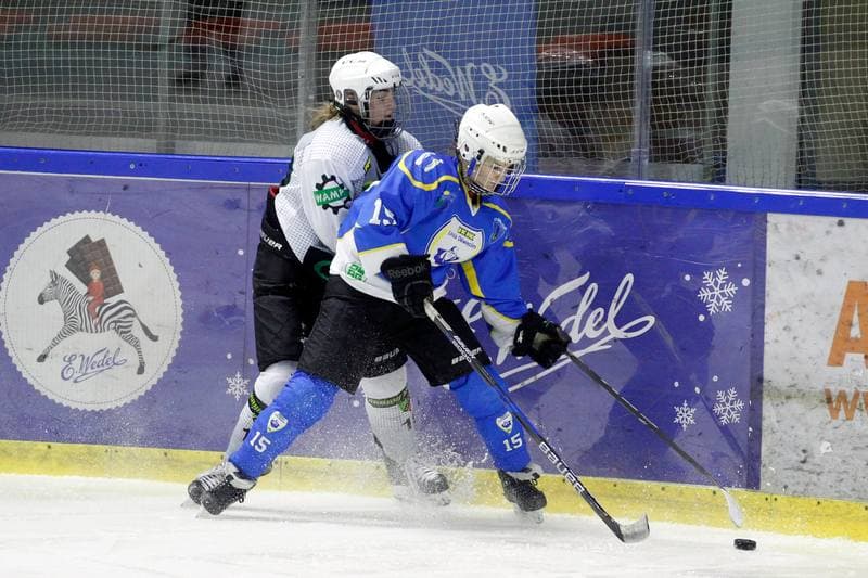 Ice Hockey. PLHK. Naprzod Janow - Unia Oswiecim. 20.01.2018