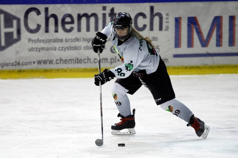Ice Hockey. PLHK. Naprzod Janow - Unia Oswiecim. 20.01.2018