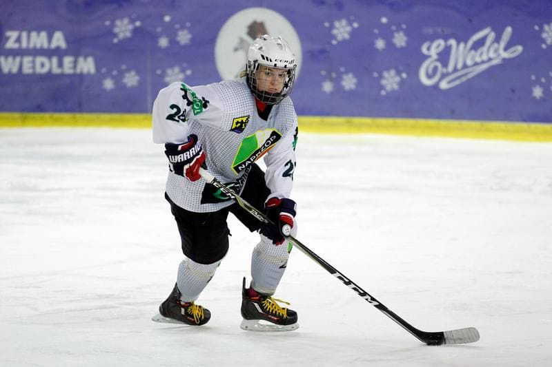 Ice Hockey. PLHK. Naprzod Janow - Unia Oswiecim. 20.01.2018