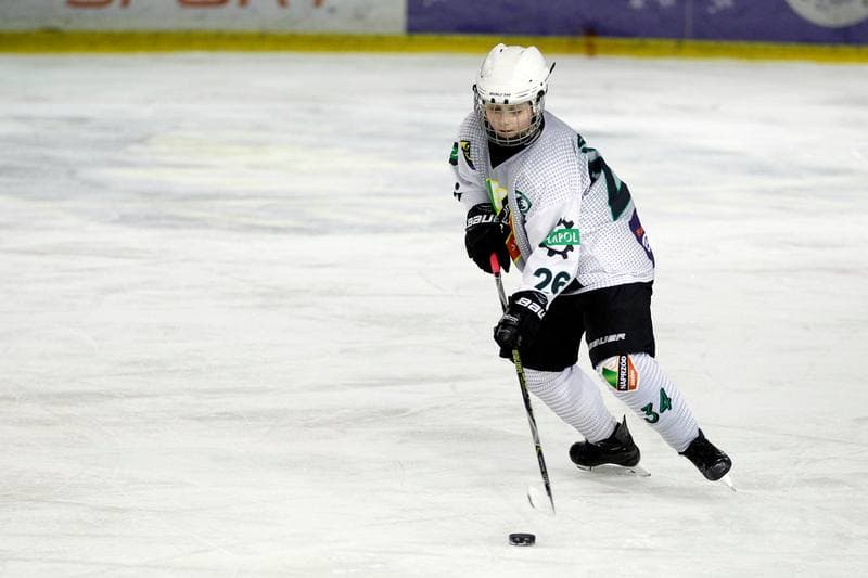 Ice Hockey. PLHK. Naprzod Janow - Unia Oswiecim. 20.01.2018