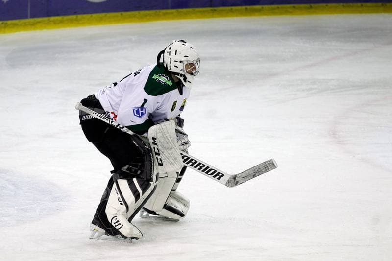 Ice Hockey. Tauron Hokej Liga. Anteo Naprzod Janow - GKS Tychy. 26.01.2018
