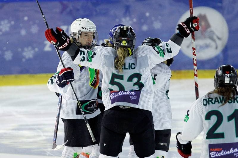Ice Hockey. PLHK. Naprzod Janow - Atomowki Tychy. 03.02.2018