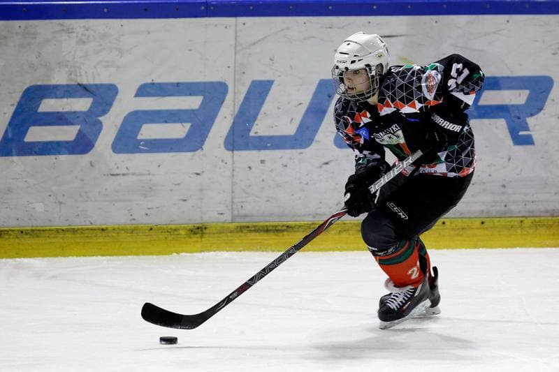 Ice Hockey. PLHK. Naprzod Janow - Atomowki Tychy. 03.02.2018