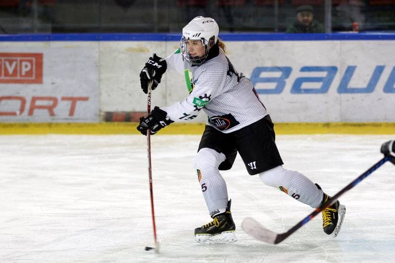 Ice Hockey. PLHK. Naprzod Janow - Kozice Poznan. 11.02.2018