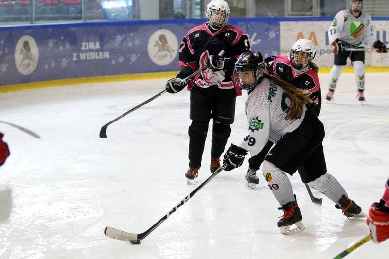 Ice Hockey. PLHK. Naprzod Janow - Kozice Poznan. 11.02.2018