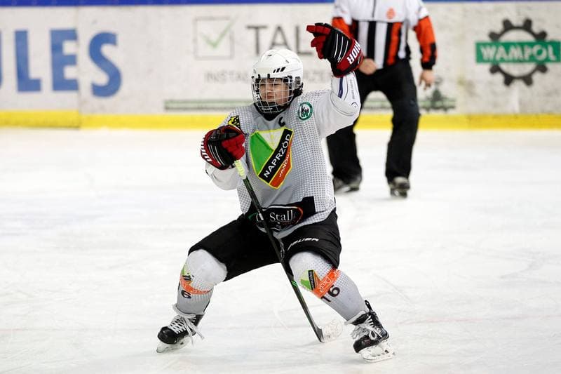 Ice Hockey. PLHK. Naprzod Janow - Kozice Poznan. 11.02.2018