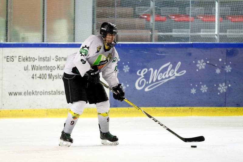 Ice Hockey. PLHK. Naprzod Janow - Kozice Poznan. 11.02.2018