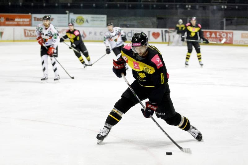 Ice Hockey. Polska Hokej Liga. GKS Tychy - Tauron KH GKS Katowice. 11.02.2018