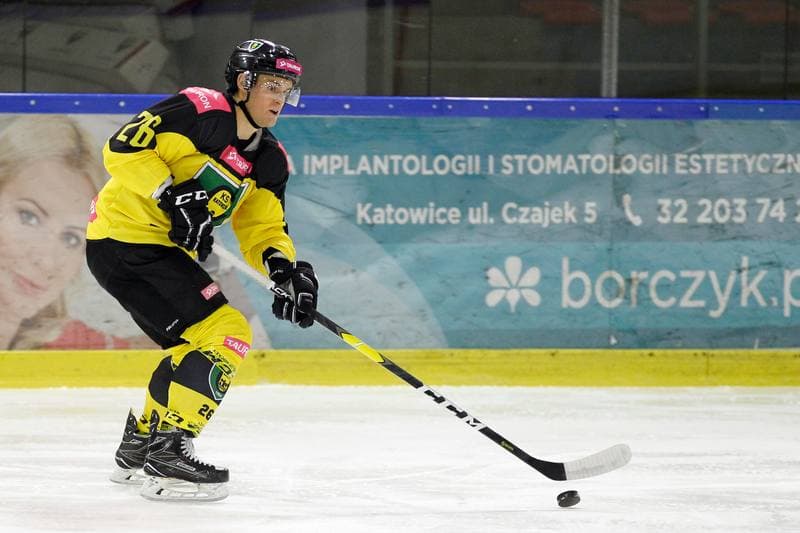 Ice Hockey. Polska Hokej Liga. Tauron KH GKS Katowice - PGE Orlik Opole. 30.12.2018